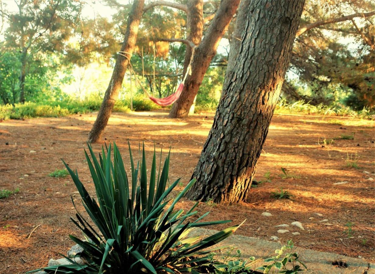 Quercus Apartment Stara Baška Esterno foto
